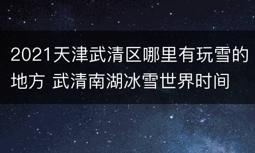 2021天津武清区哪里有玩雪的地方 武清南湖冰雪世界时间