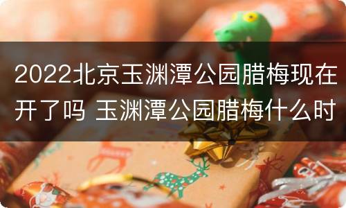 2022北京玉渊潭公园腊梅现在开了吗 玉渊潭公园腊梅什么时候开花