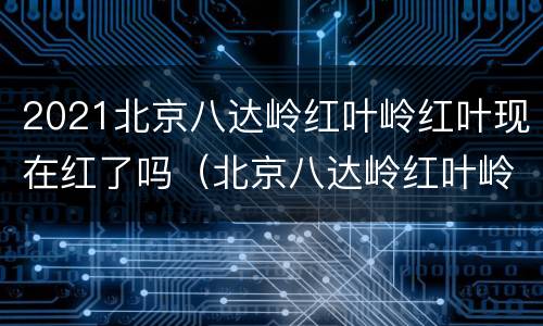 2021北京八达岭红叶岭红叶现在红了吗（北京八达岭红叶岭景区）