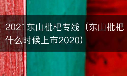 2021东山枇杷专线（东山枇杷什么时候上市2020）