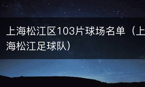 上海松江区103片球场名单（上海松江足球队）