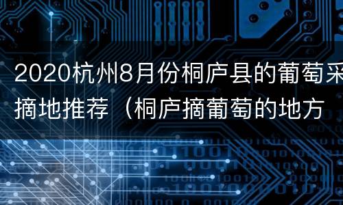 2020杭州8月份桐庐县的葡萄采摘地推荐（桐庐摘葡萄的地方）