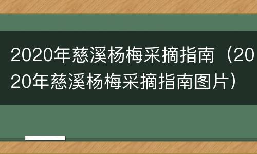2020年慈溪杨梅采摘指南（2020年慈溪杨梅采摘指南图片）