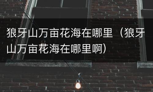 狼牙山万亩花海在哪里（狼牙山万亩花海在哪里啊）