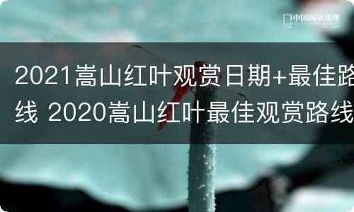 2021嵩山红叶观赏日期+最佳路线 2020嵩山红叶最佳观赏路线