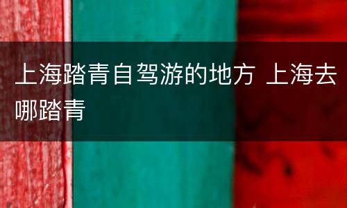 上海踏青自驾游的地方 上海去哪踏青
