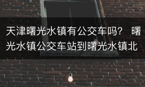 天津曙光水镇有公交车吗？ 曙光水镇公交车站到曙光水镇北门怎么走