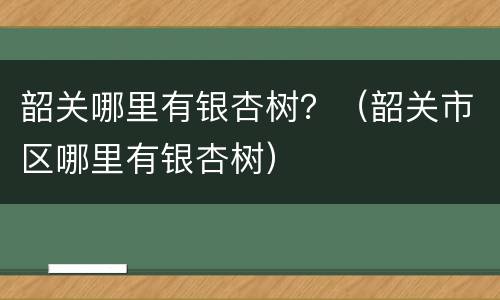 韶关哪里有银杏树？（韶关市区哪里有银杏树）