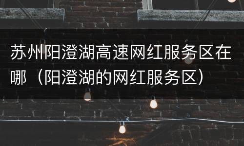 苏州阳澄湖高速网红服务区在哪（阳澄湖的网红服务区）