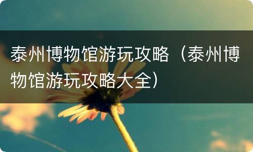 泰州博物馆游玩攻略（泰州博物馆游玩攻略大全）