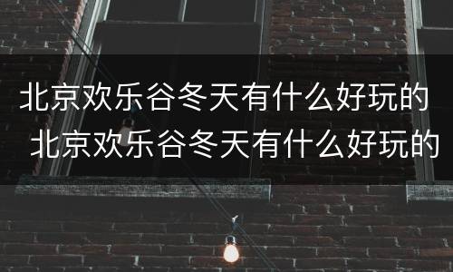 北京欢乐谷冬天有什么好玩的 北京欢乐谷冬天有什么好玩的吗