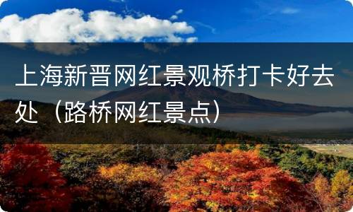 上海新晋网红景观桥打卡好去处（路桥网红景点）
