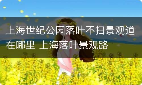 上海世纪公园落叶不扫景观道在哪里 上海落叶景观路