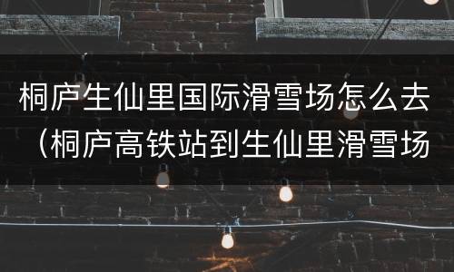 桐庐生仙里国际滑雪场怎么去（桐庐高铁站到生仙里滑雪场）