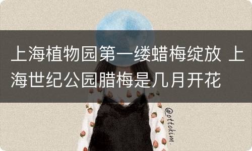 上海植物园第一缕蜡梅绽放 上海世纪公园腊梅是几月开花