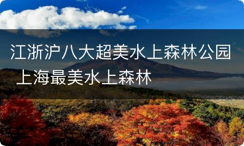 江浙沪八大超美水上森林公园 上海最美水上森林
