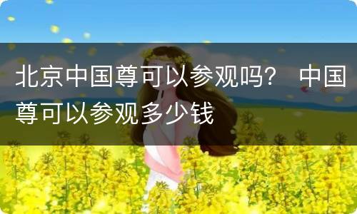 北京中国尊可以参观吗？ 中国尊可以参观多少钱