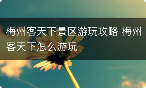 梅州客天下景区游玩攻略 梅州客天下怎么游玩