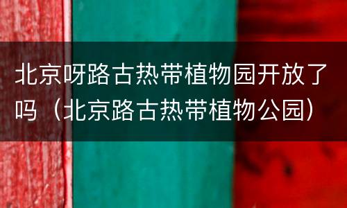 北京呀路古热带植物园开放了吗（北京路古热带植物公园）