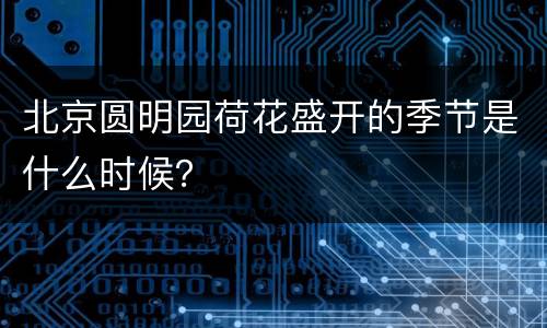 北京圆明园荷花盛开的季节是什么时候？