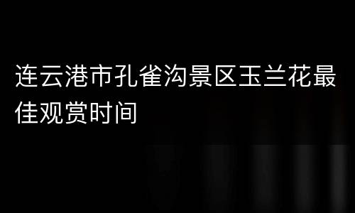 连云港市孔雀沟景区玉兰花最佳观赏时间