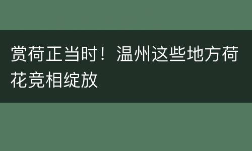 赏荷正当时！温州这些地方荷花竞相绽放