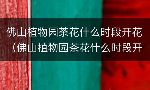 佛山植物园茶花什么时段开花（佛山植物园茶花什么时段开花结果）