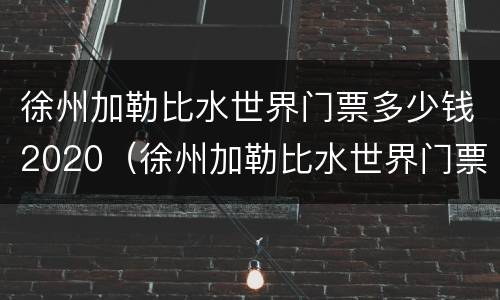 徐州加勒比水世界门票多少钱2020（徐州加勒比水世界门票多少钱一张2023）