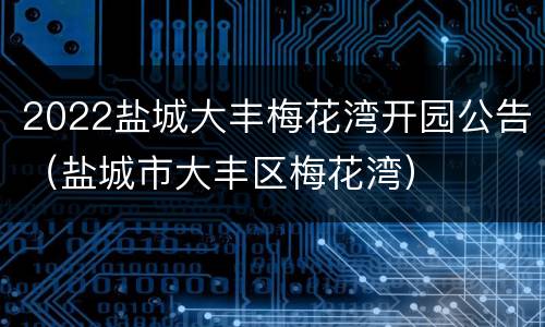2022盐城大丰梅花湾开园公告（盐城市大丰区梅花湾）