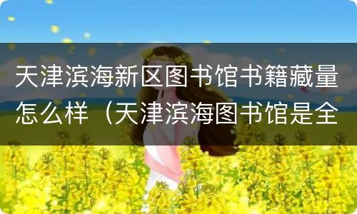 天津滨海新区图书馆书籍藏量怎么样（天津滨海图书馆是全国最大的吗）