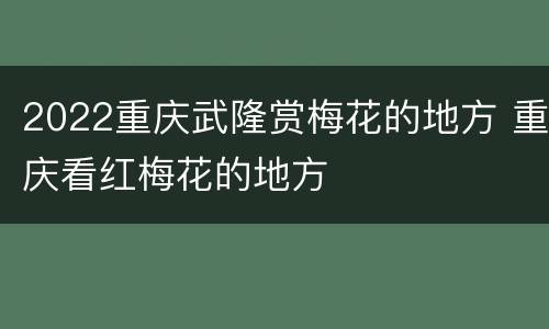 2022重庆武隆赏梅花的地方 重庆看红梅花的地方