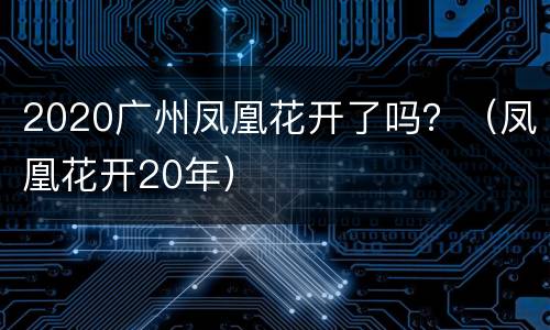 2020广州凤凰花开了吗？（凤凰花开20年）