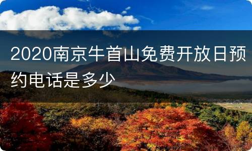 2020南京牛首山免费开放日预约电话是多少