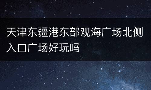 天津东疆港东部观海广场北侧入口广场好玩吗