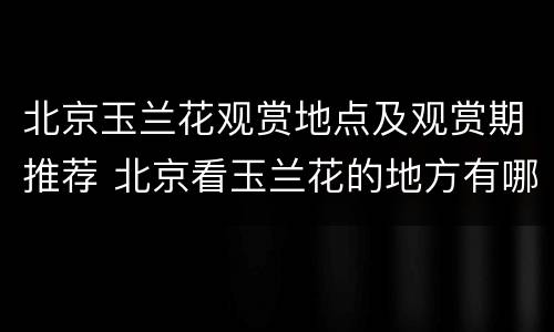 北京玉兰花观赏地点及观赏期推荐 北京看玉兰花的地方有哪些
