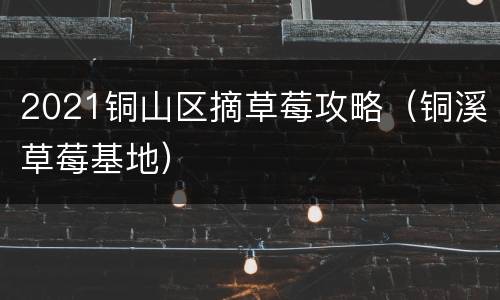 2021铜山区摘草莓攻略（铜溪草莓基地）