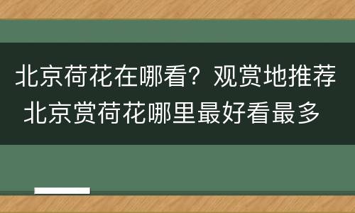 北京荷花在哪看？观赏地推荐 北京赏荷花哪里最好看最多