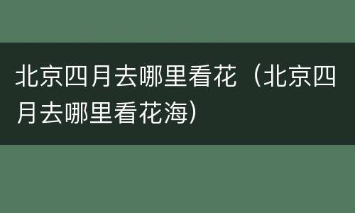 北京四月去哪里看花（北京四月去哪里看花海）