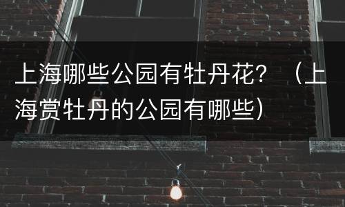 上海哪些公园有牡丹花？（上海赏牡丹的公园有哪些）