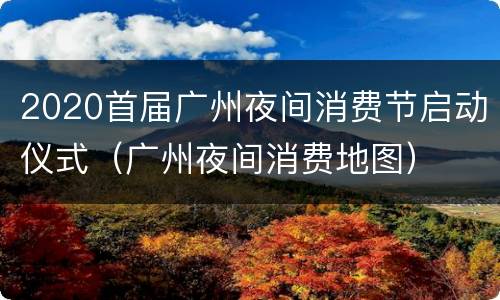 2020首届广州夜间消费节启动仪式（广州夜间消费地图）