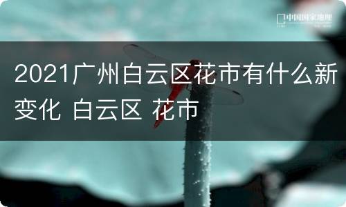 2021广州白云区花市有什么新变化 白云区 花市