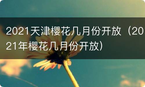 2021天津樱花几月份开放（2021年樱花几月份开放）