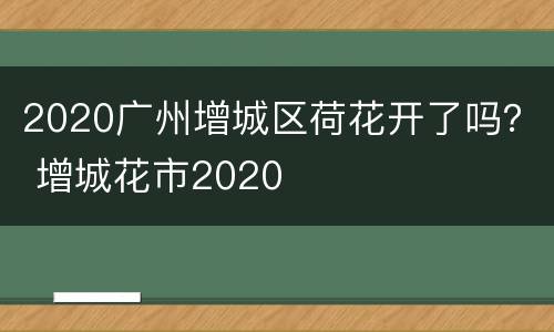 2020广州增城区荷花开了吗？ 增城花市2020
