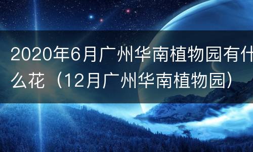 2020年6月广州华南植物园有什么花（12月广州华南植物园）