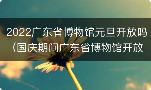 2022广东省博物馆元旦开放吗（国庆期间广东省博物馆开放吗）