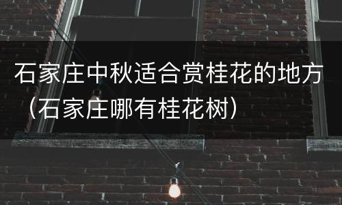石家庄中秋适合赏桂花的地方（石家庄哪有桂花树）