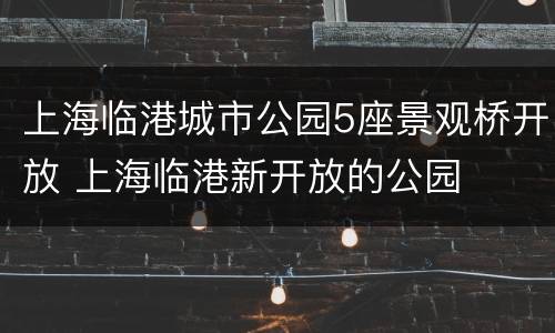 上海临港城市公园5座景观桥开放 上海临港新开放的公园