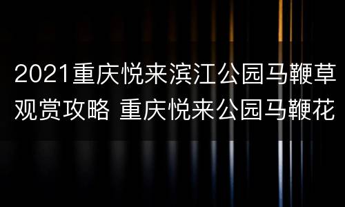 2021重庆悦来滨江公园马鞭草观赏攻略 重庆悦来公园马鞭花