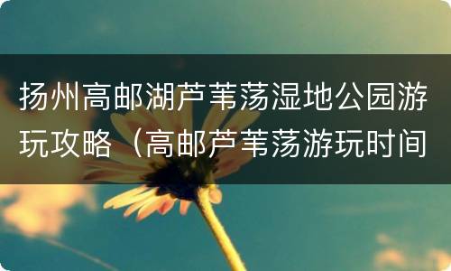 扬州高邮湖芦苇荡湿地公园游玩攻略（高邮芦苇荡游玩时间）