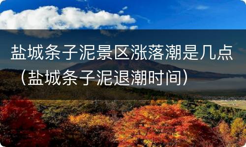 盐城条子泥景区涨落潮是几点（盐城条子泥退潮时间）